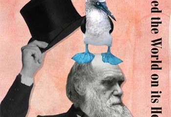 Did Darwin’s Pigeons Support his Theory of Evolution?