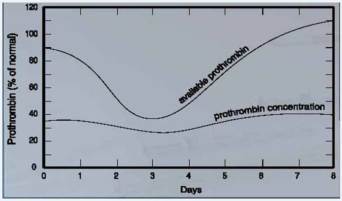 What does the symbol for judaism mean