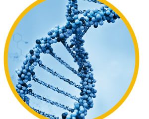 Data in Your DNA!