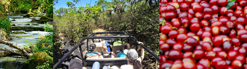 costa rica water jeep berries