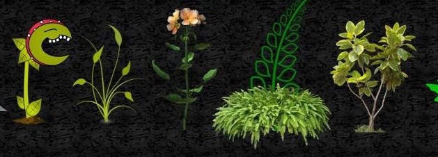 What About Plant Death?