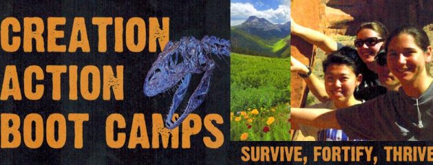 Creation Action Boot Camps