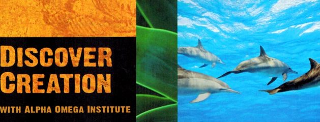 Discover Creation