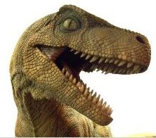 Dinosaur Journey Museum Field Trip