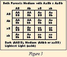 Figure-3web.jpg