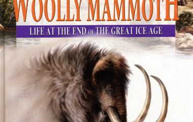 Mammoths Buried in Frozen Dust?!?!