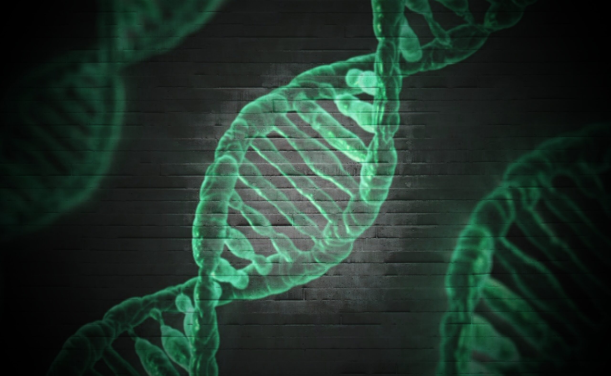 You've Been Lied To About Entropy: The REAL Secret