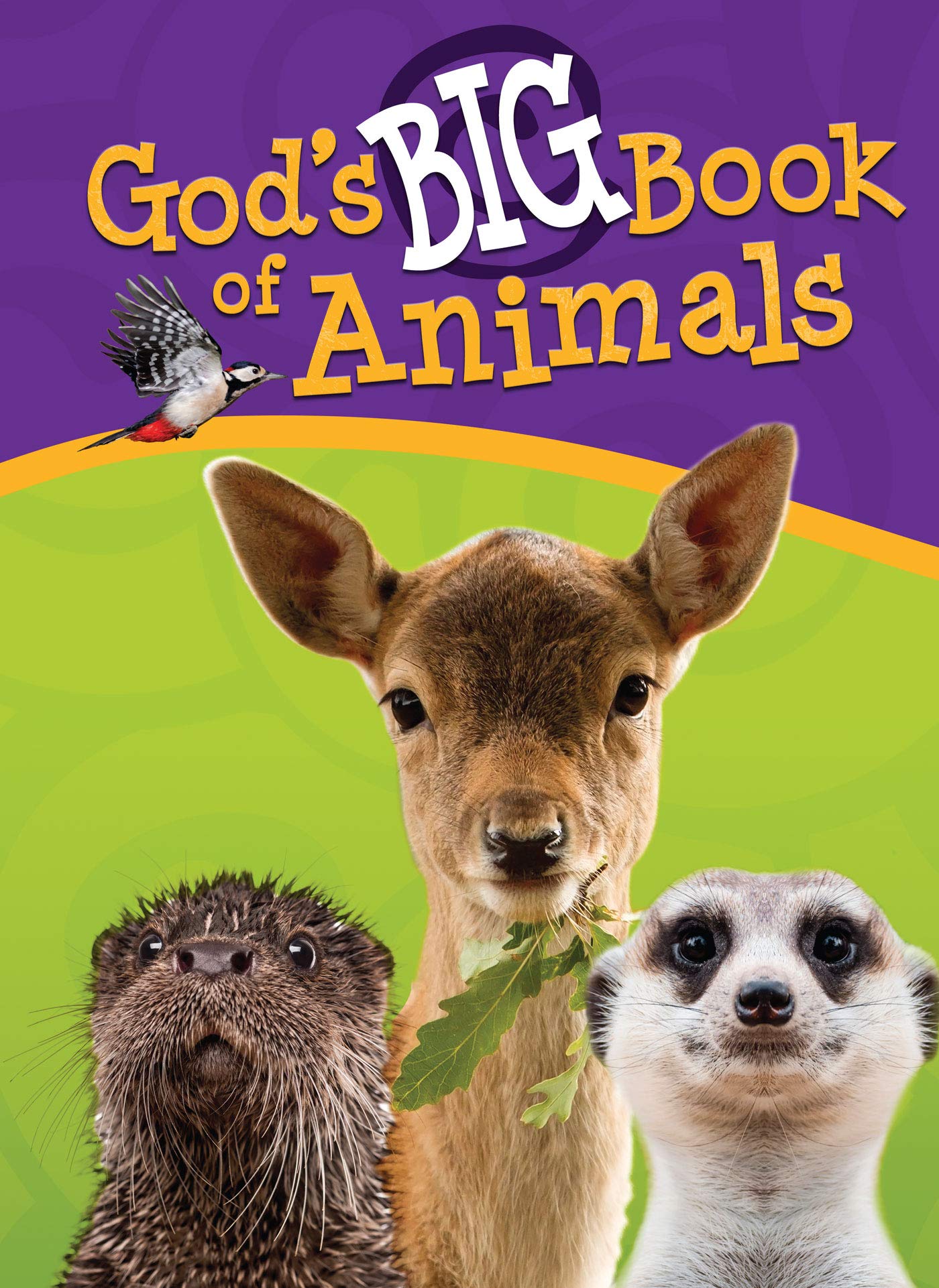 God s BIG Book Of Animals Alpha Omega Institute