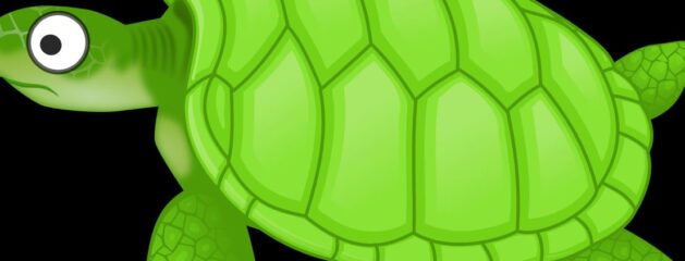 Turtle Time #4: Designed Turtle Shells!!