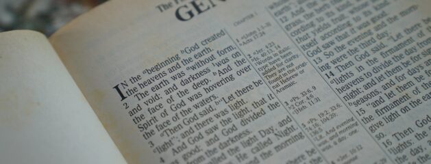Genesis in the New Testament!