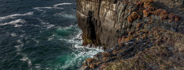 Great evidence of global deposition of sediment – evidence for a global flood!