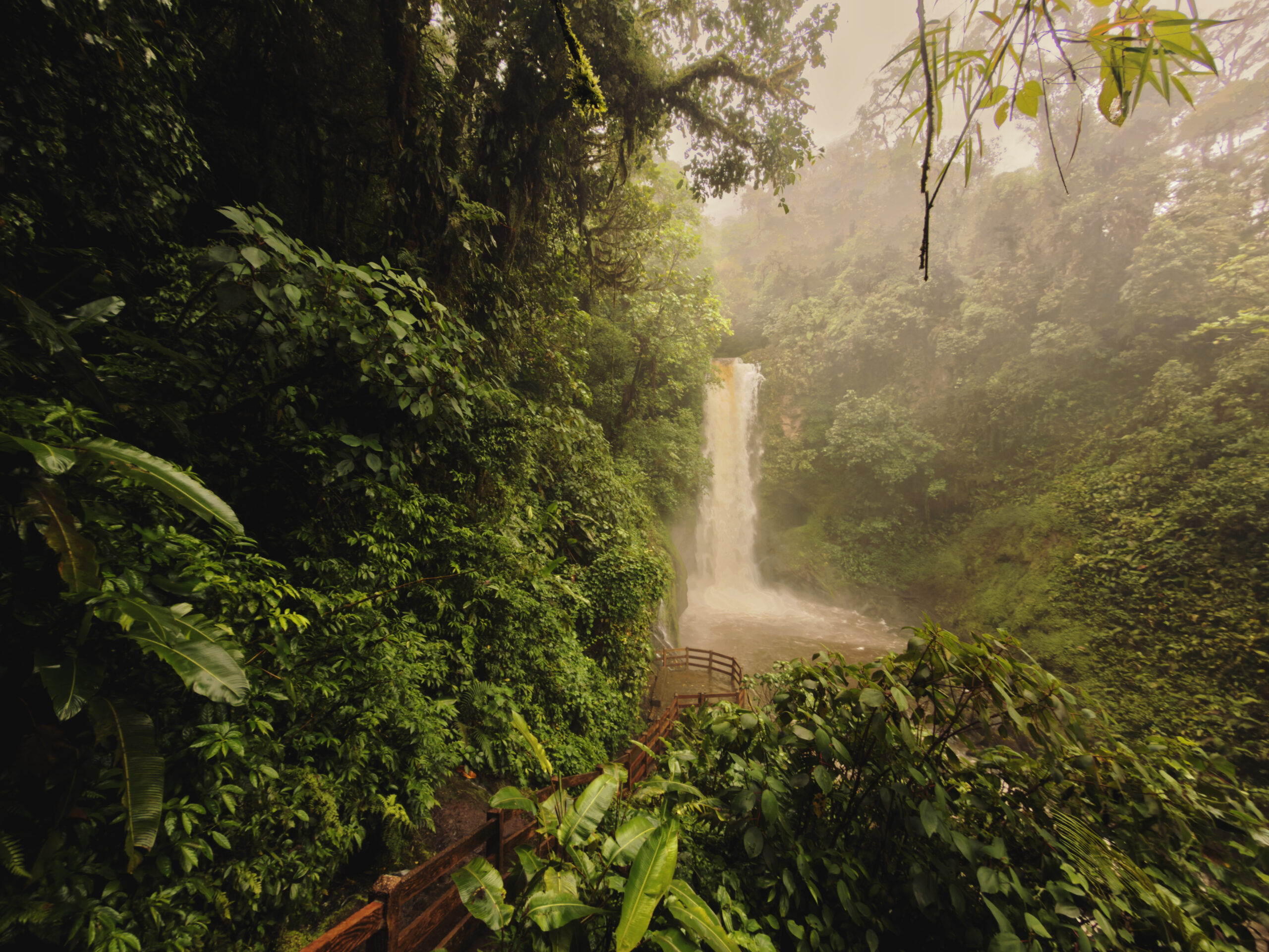 Discover Creation Costa Rica Adventure Tour